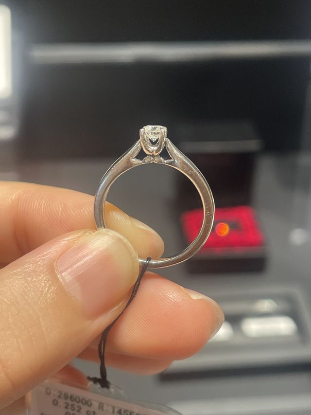 エクセルシアの横からの見た目です