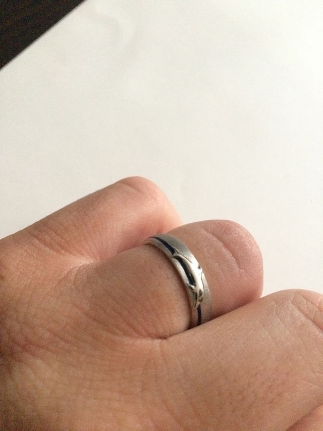 イルカが青い水平線を泳いでいます！