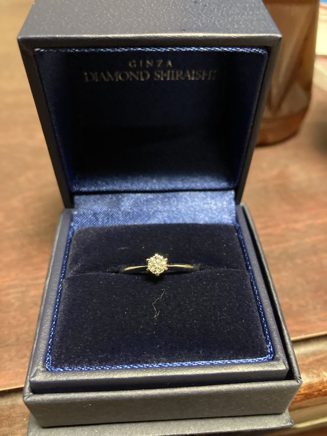 初めて見た時のインパクトが強くてとても満足しています。