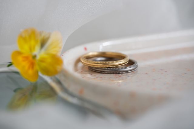 ユーカリのデザイン