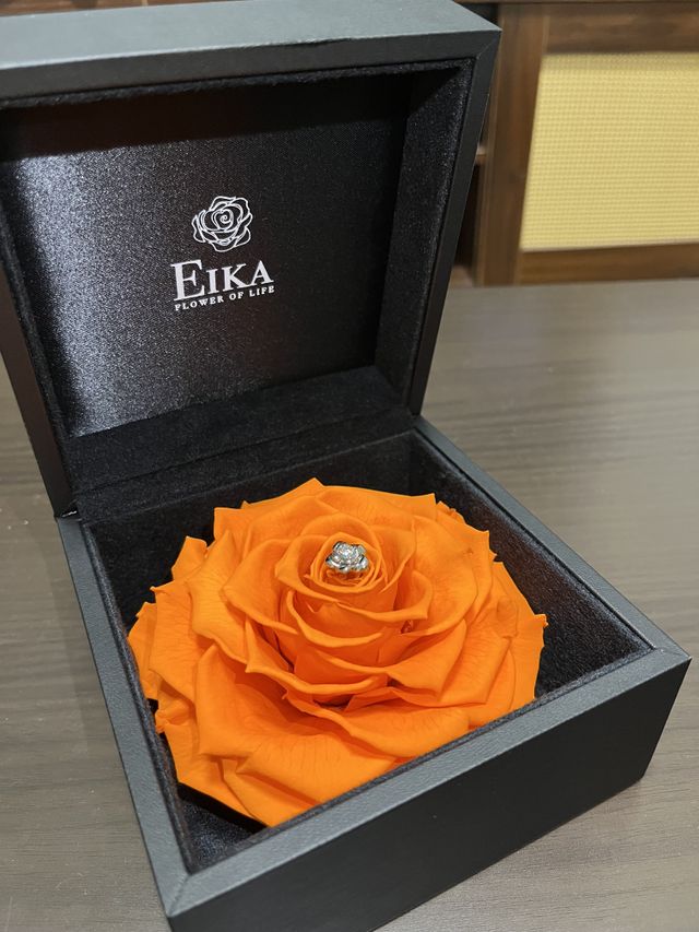 プロポーズでもらった時の写真です。