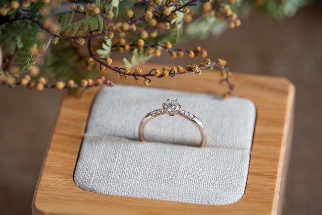 婚約指輪
デイジー