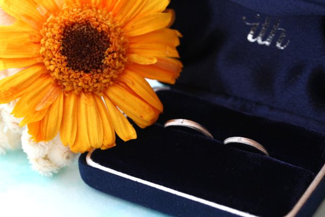 ithさんからいただいた写真