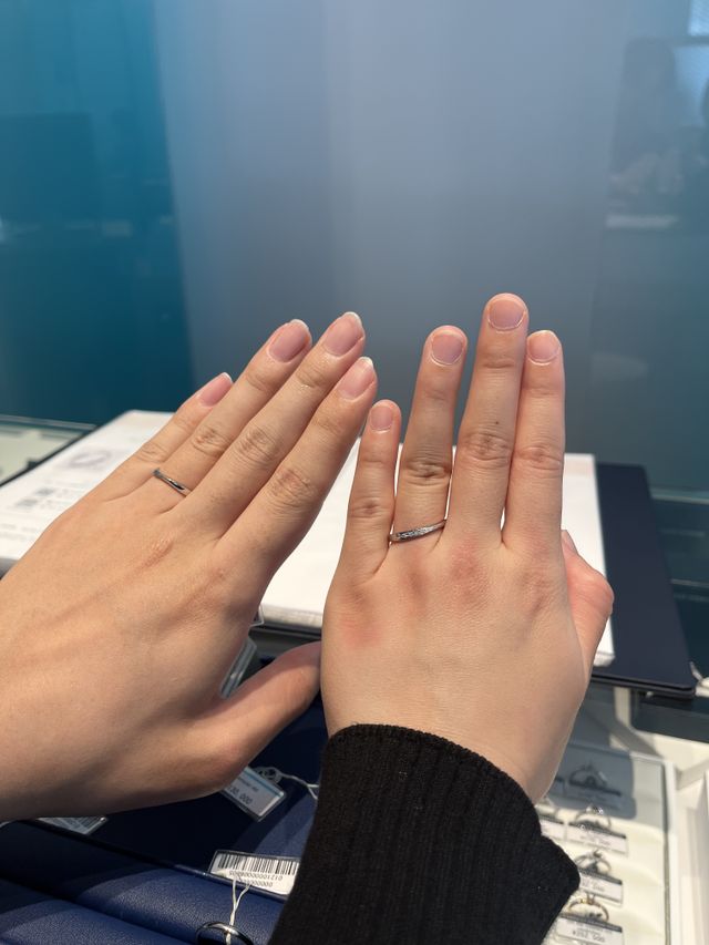 手がむちむちなのはご容赦ください、、