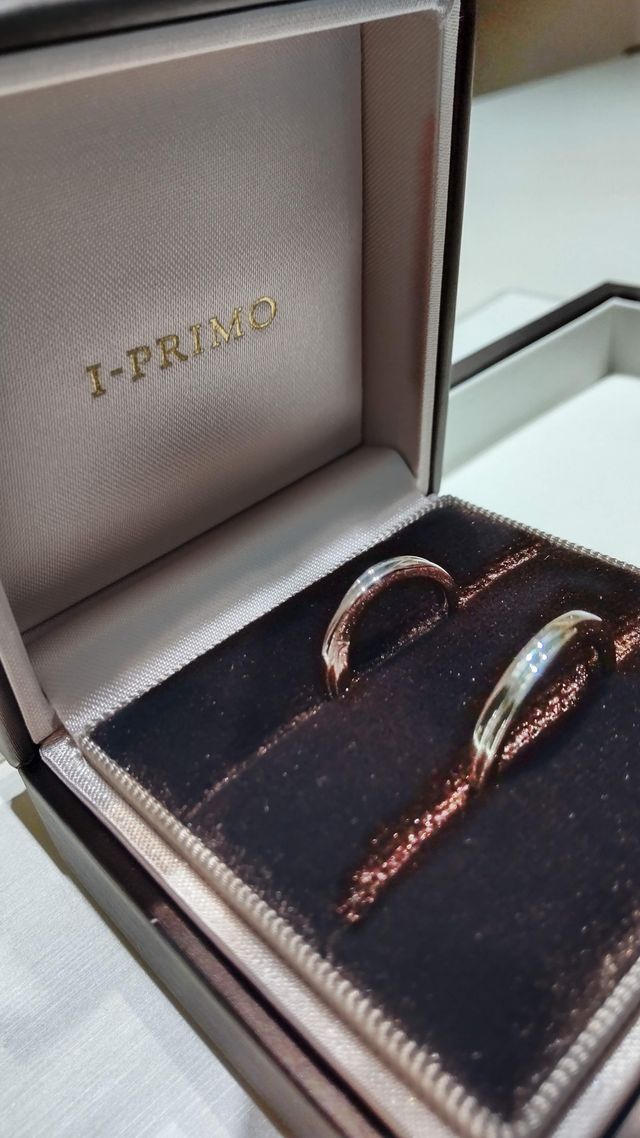 ウィルビウス (石なし）