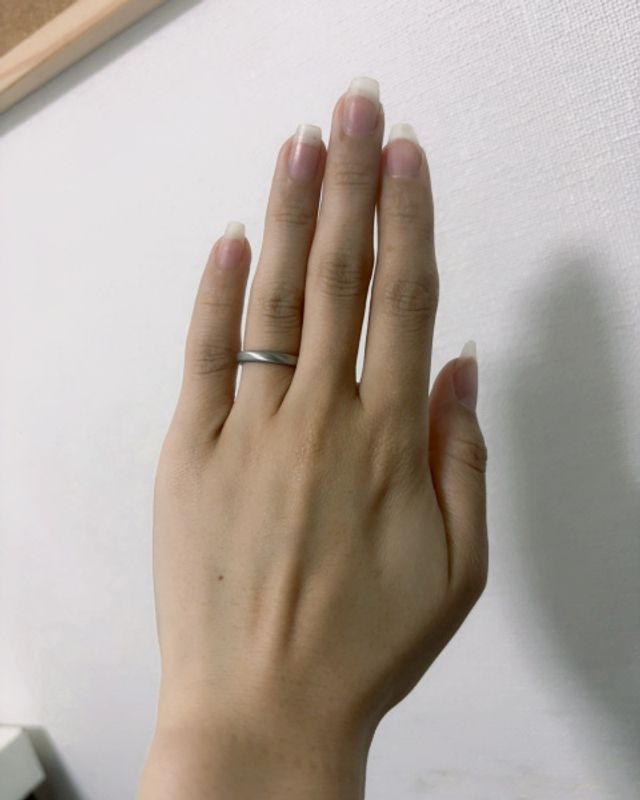 着用画像です