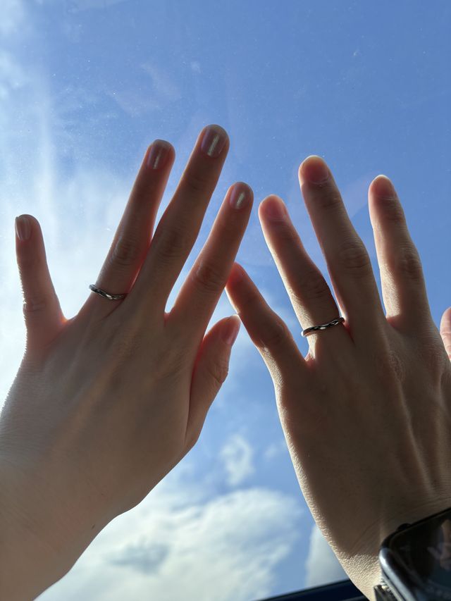 青空でいい天気だったので撮りました。