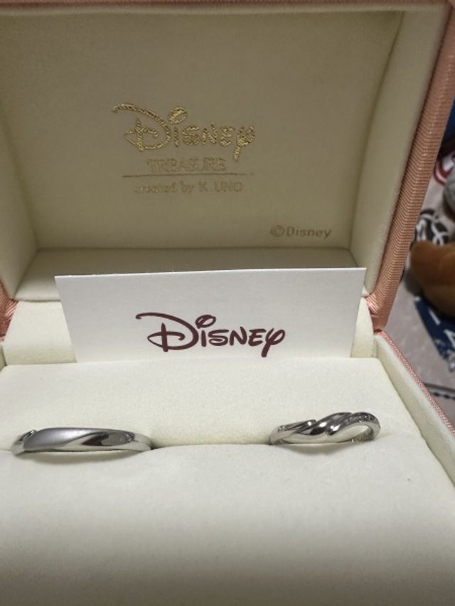 ディズニーデザイン