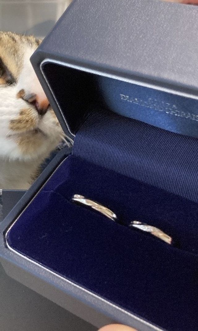 購入した指輪です