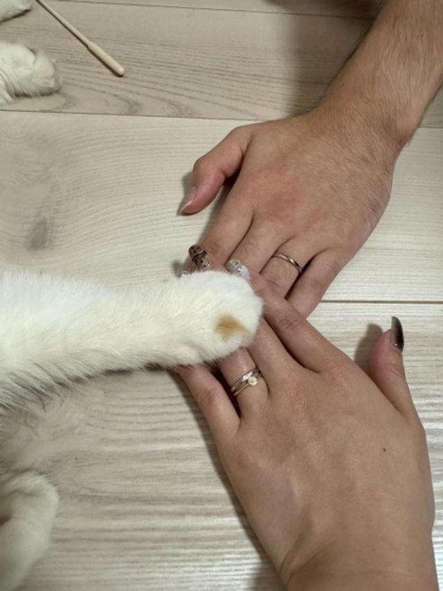 我が家の愛猫と撮りました