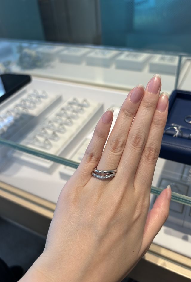 上がホリミナスです。