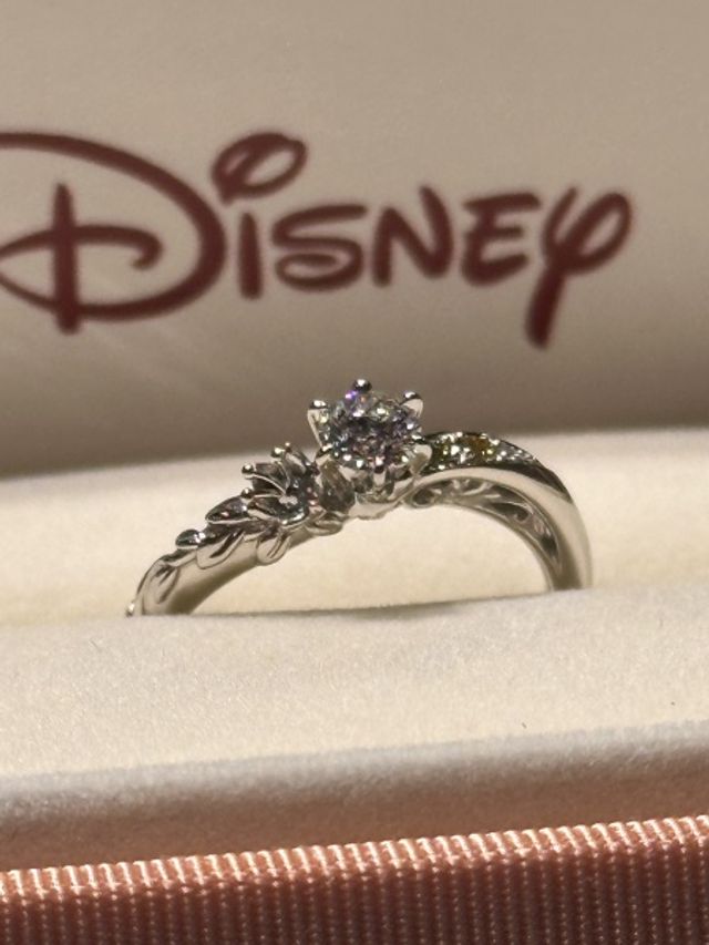 ディズニープリンセスをモチーフにした唯一無二のデザイン。