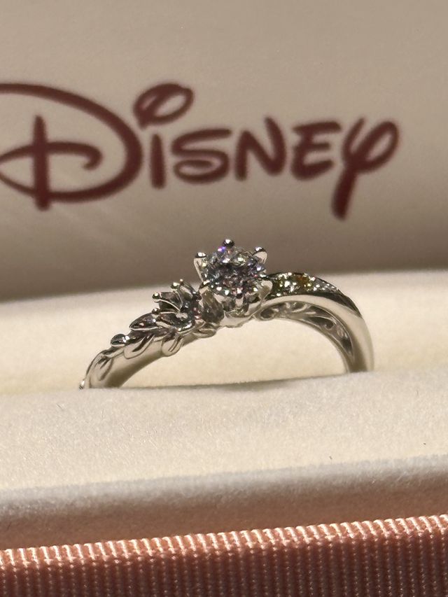 ディズニープリンセスをモチーフにした唯一無二のデザイン。