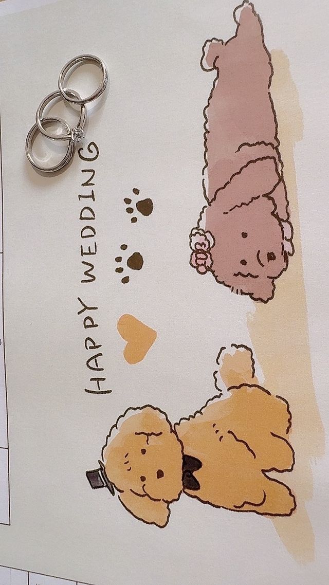 真ん中が婚約指輪
両端が結婚指輪