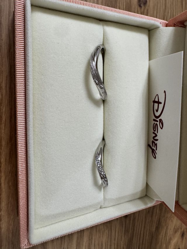 ディズニー好きにはたまらないです