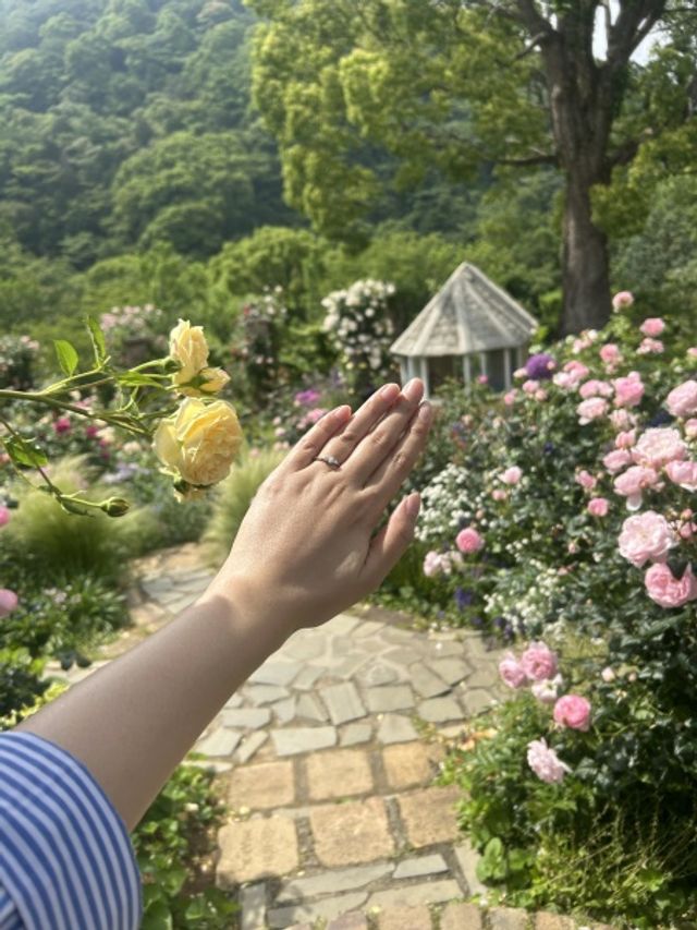 お外だと更に光ってみえます。