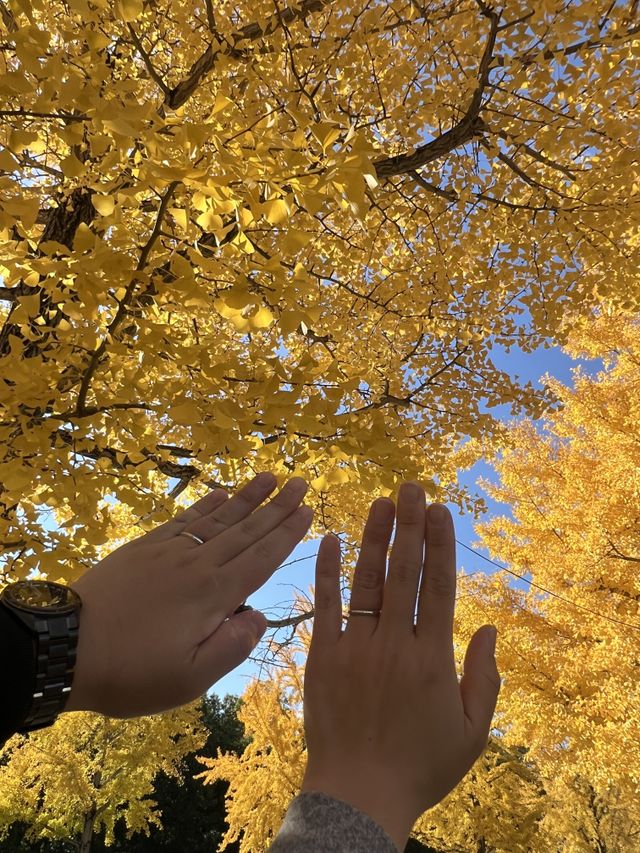 指輪を受け取った日