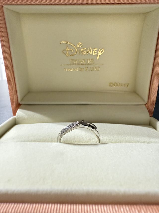 横から見ると立体的なのがわかるかと思います。