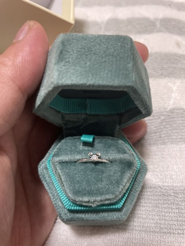 ミッキーデザインとジャスミンのプロポーズケース