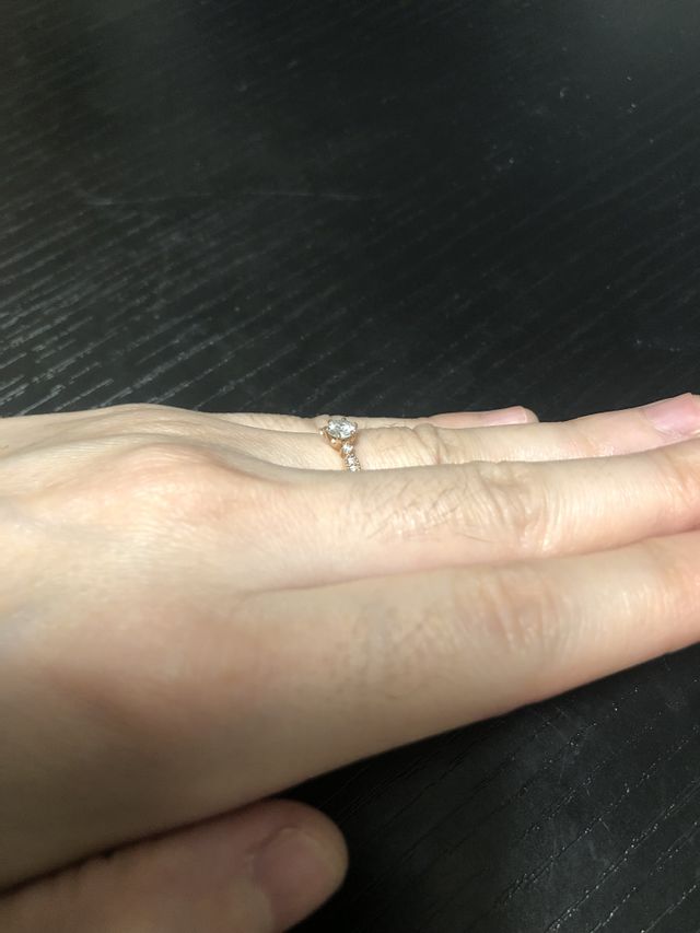 横から撮影した写真です。