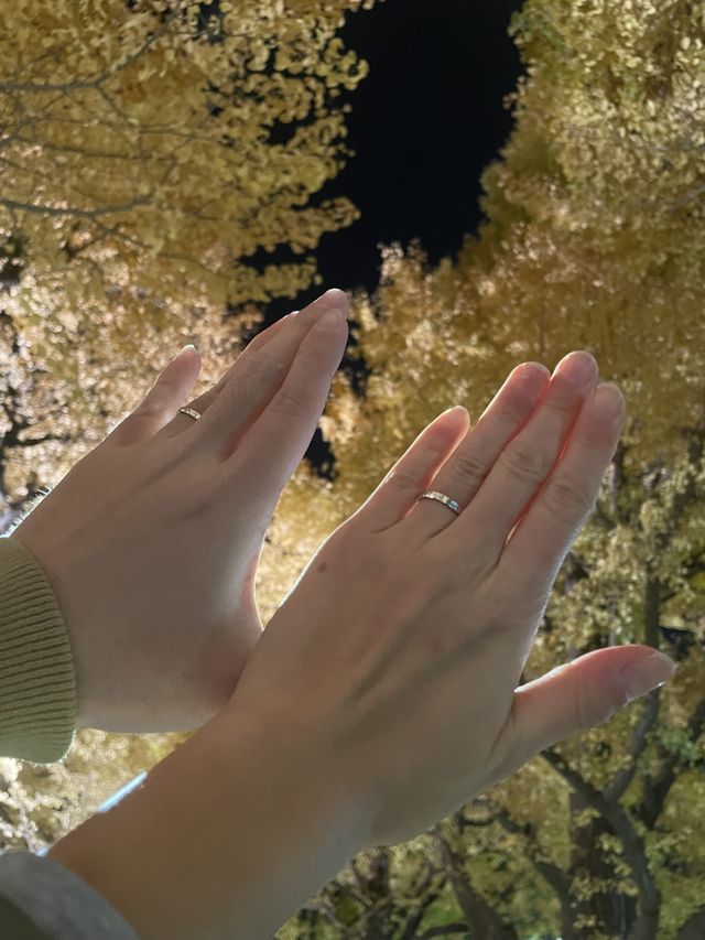 お店近くのいちょう並木が見頃でライトアップされていました。