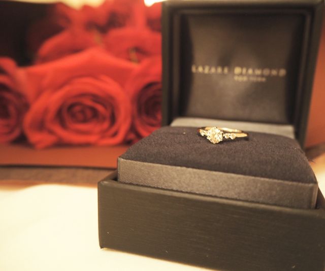 ドリルトンと赤いバラ