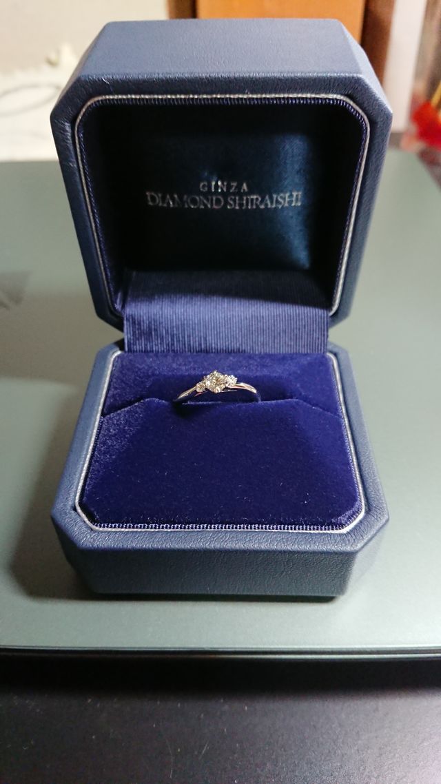 ケースに入れて大事にしています。