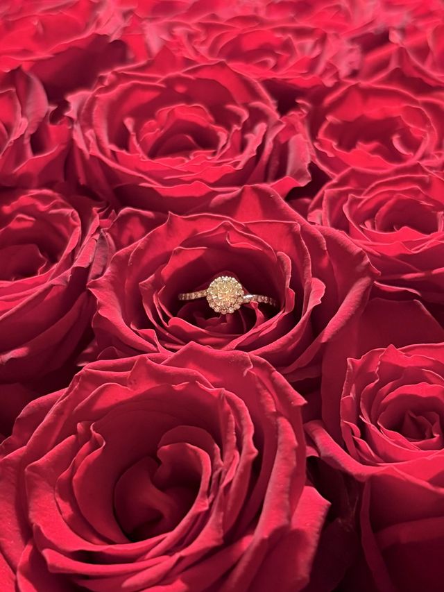 108本のバラと一緒にいただきました。