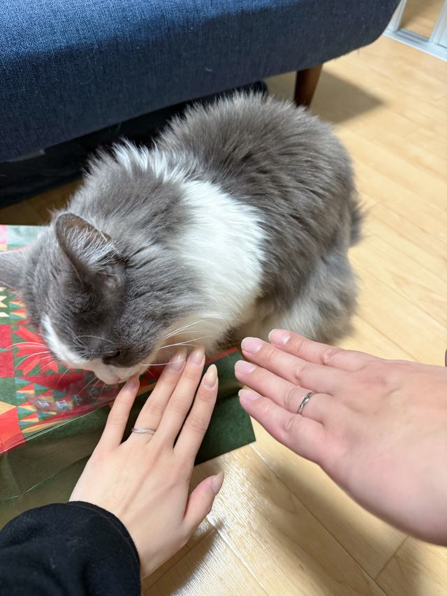 愛猫ちゃんと♡