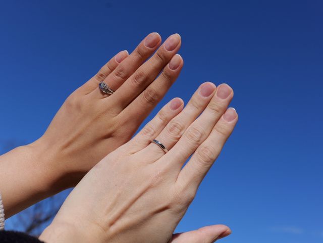 青空の下撮ったものです