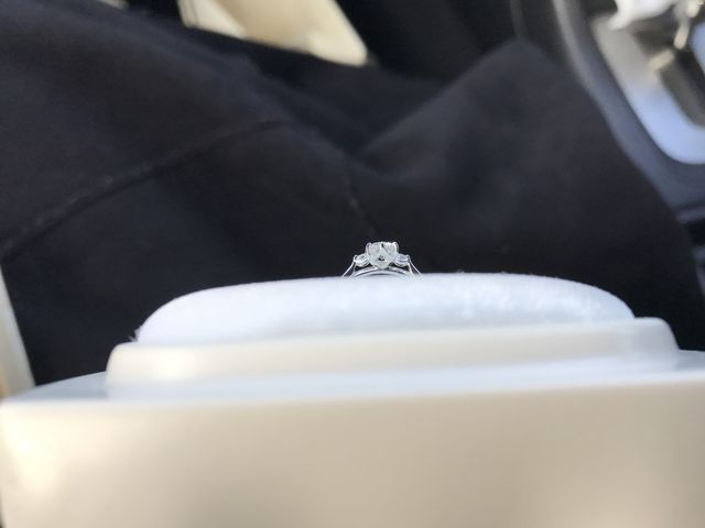 横から見た写真です。