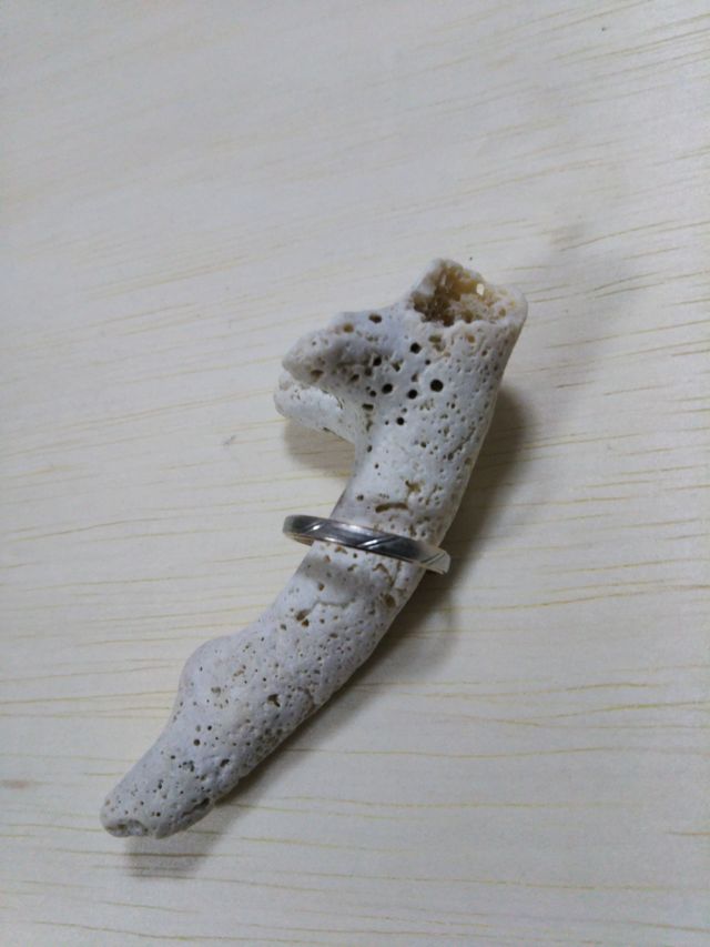 側面は、／／二本のデザインです