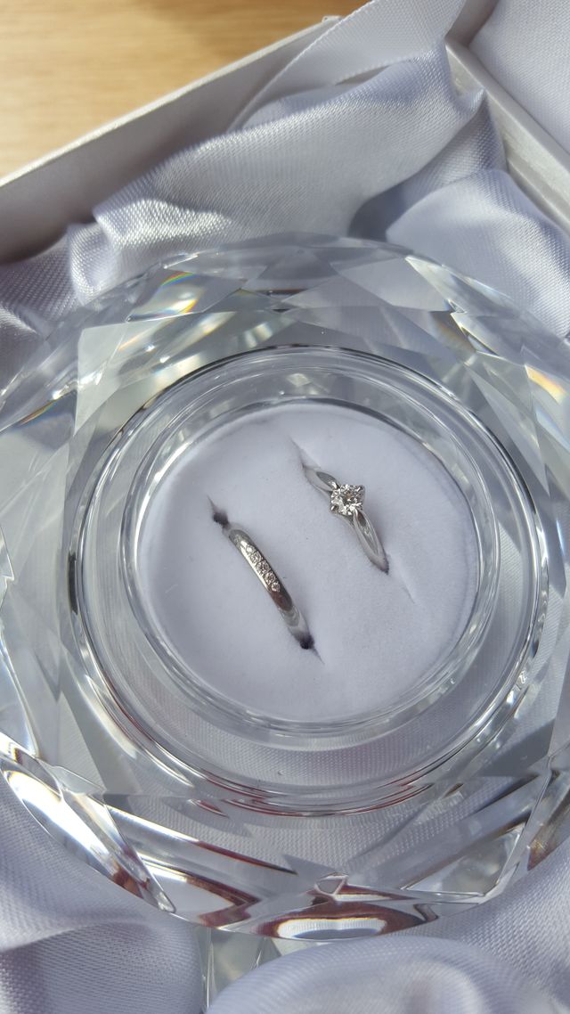 購入した際付いてきたガラスケースに飾って