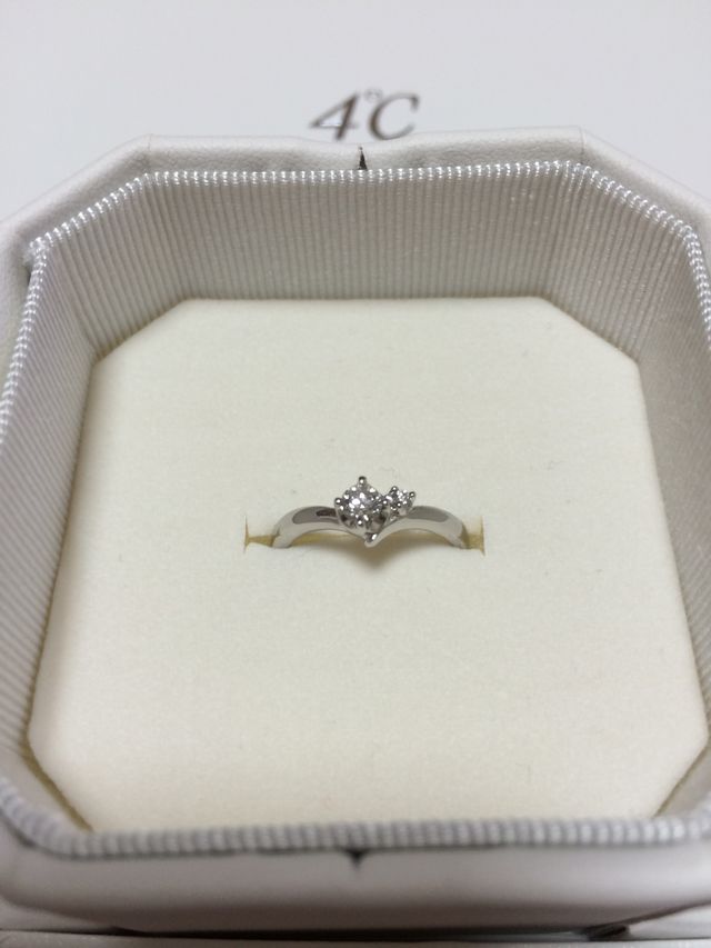 大きなダイヤの他に小さいダイヤがついていて、カモメの形