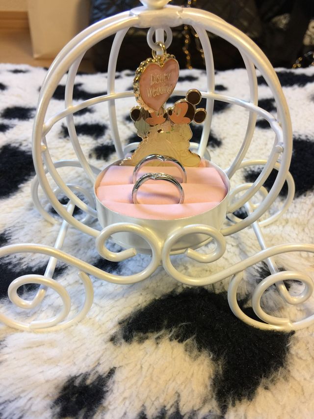 横から見た感じの写真です。