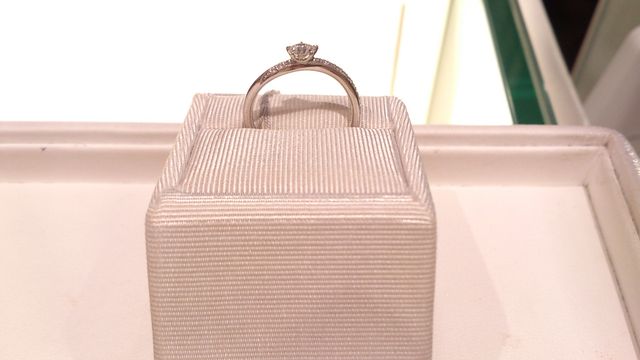 横から見たところ。