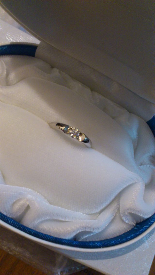 購入時のBOXに入った状態