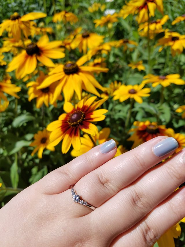 アイプリモ：ミザール