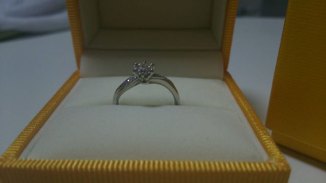 横からの写真。