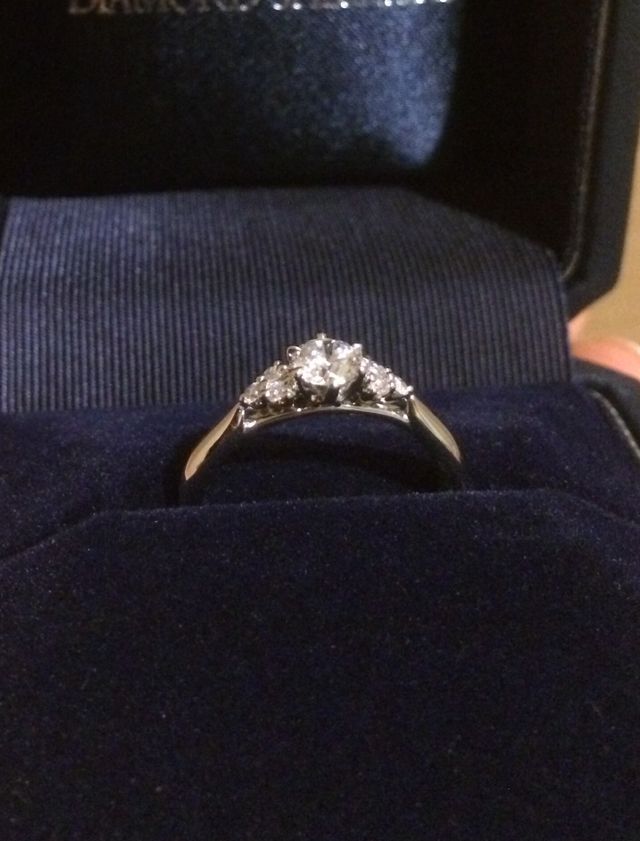 横から見た写真です。