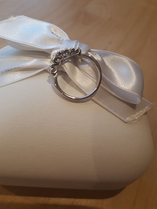 中央に馬車、再度にガラスの靴、ハートがデザインされています。