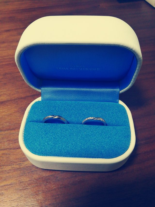 購入時に入っていたケースの写真です。