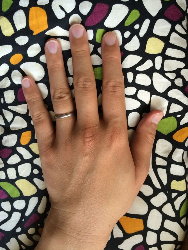 主人の手です。