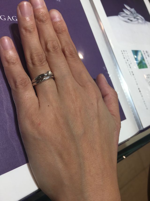 雪桂景というデザイン