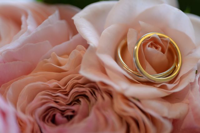 主人とお揃いです。