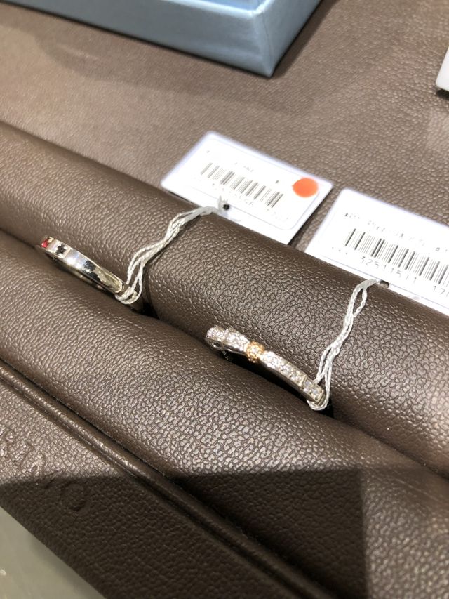 桂由美、ペアリング