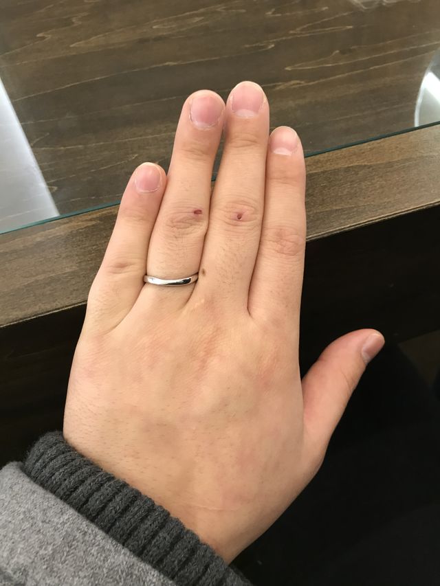 光沢があってよかった！