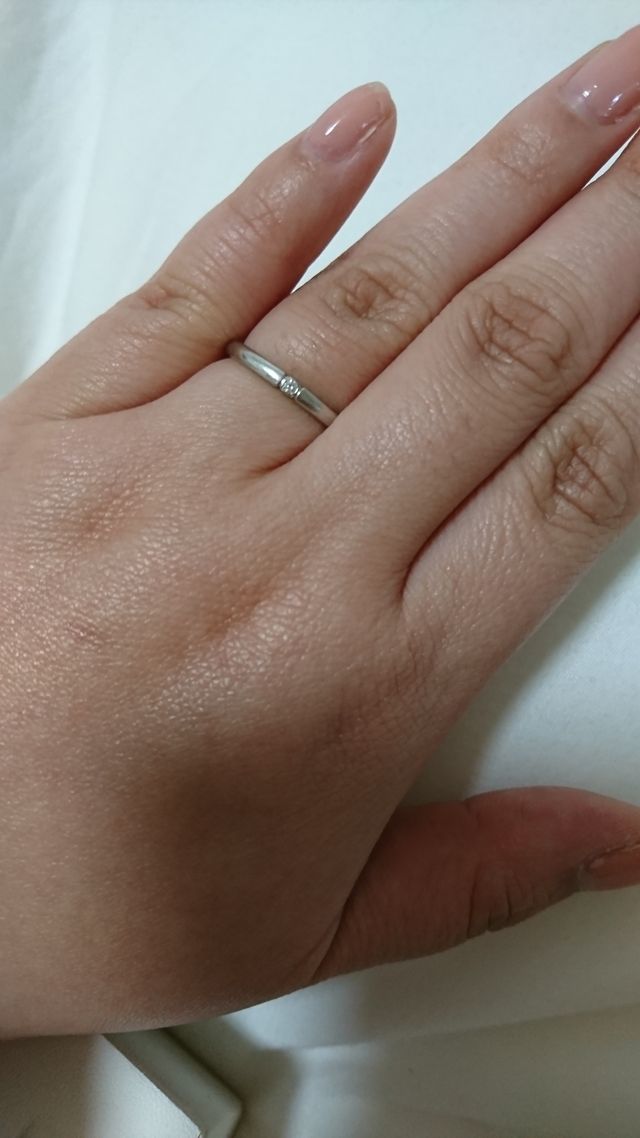 アップの写真です。