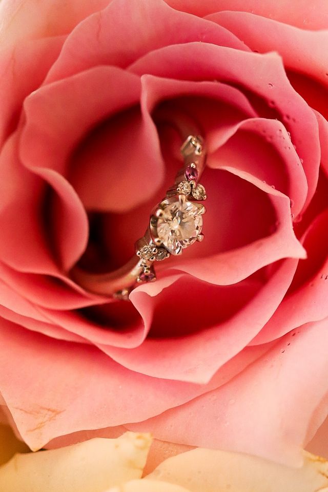 ピンクダイヤモンド