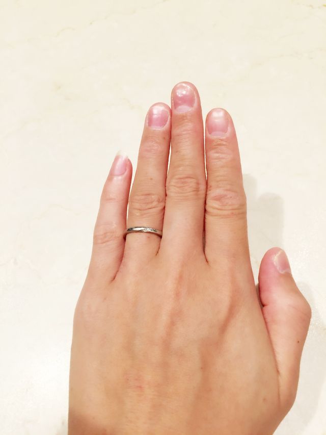 全体で見るとこんな感じです